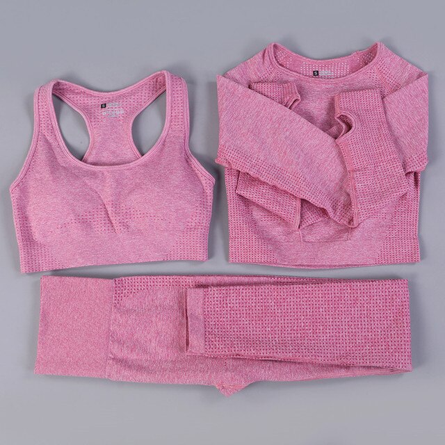 2/3PCS Seamless Women Workout Sportswear