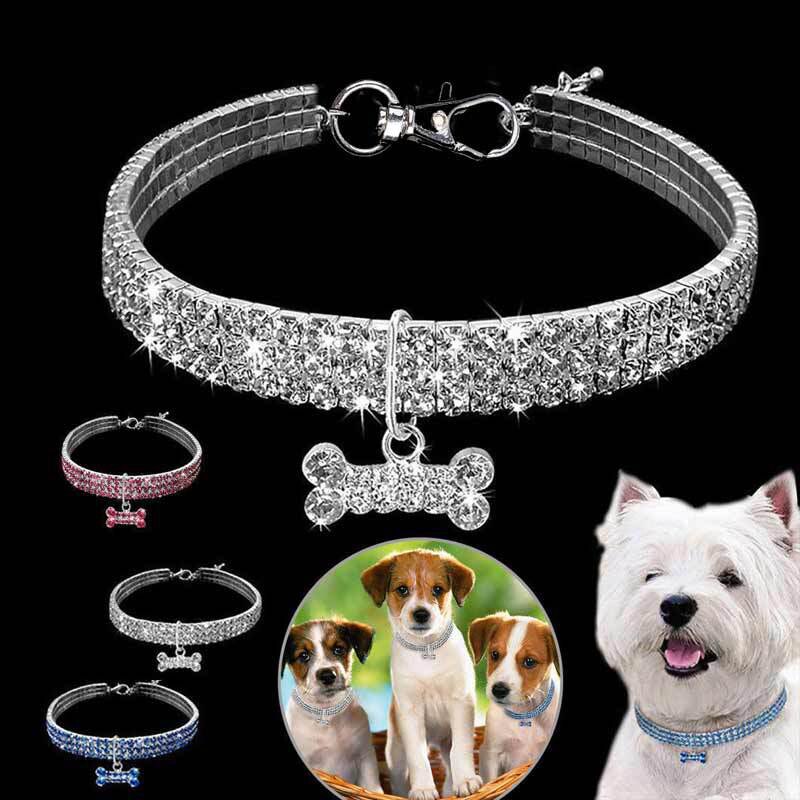 Pet Collar